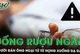 Rát họng sau chén rượu ngâm, người đàn ông hoại tử từ họng xuống dạ dày