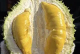 Giá sầu riêng Musang King rẻ đến bất ngờ