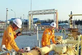 PV GAS D duyệt phương án ký hợp đồng mua bán khí với 3 công ty