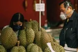 Đối thủ lớn nhất của sầu riêng Việt Nam đón tin buồn từ Trung Quốc và Campuchia