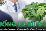 Người đàn ông ôm khối hạch cổ khổng lồ sau 9 tháng uống lá đu đủ