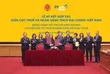 PVcomBank ký kết hợp tác với Cục Thuế: Từ hôm nay Hộ kinh doanh tại 22 địa phương được hỗ trợ kê khai thuế, miễn phí quản trị dòng tiền và nhận hàng loạt ưu đãi thiết thực