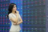 VN-Index giằng co vùng 1.740 điểm, khuyến nghị giải ngân khi rung lắc