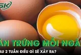 Điều gì sẽ xảy ra khi ăn 2 quả trứng mỗi ngày trong vòng 2 tuần?