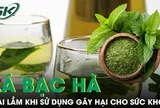 Sai lầm khi sử dụng lá bạc hà gây hại cho sức khỏe