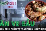 Ăn 2 con ve sầu, nam sinh 17 tuổi nhập viện lúc nửa đêm vì phản vệ toàn thân