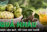 Quả nhàu mọc dại bị chê hôi lại là dược liệu quý, tốt cho sức khoẻ