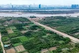 Hà Nội: Quy định chi tiết công trình được xây dựng trên đất nông nghiệp khu vực bãi sông