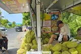 Sầu riêng ‘rẻ như bèo’ bán đầy vỉa hè