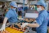 ‘Nghẹt thở’ vay vốn ngân hàng