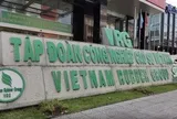 GVR báo lãi kỷ lục quý I/2026, mảng cao su tiếp tục dẫn dắt tăng trưởng