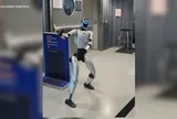Robot hình người Bebop gây náo loạn và làm chậm chuyến bay vì mang theo pin 'cấm'