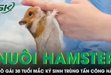 Nuôi chuột hamster, cô gái 30 tuổi mắc ký sinh trùng tấn công não