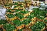 Việt Nam đón tin vui từ châu Á