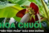 Hoa chuối giúp giảm mỡ máu, ổn định đường huyết và tốt cho hệ tiêu hóa