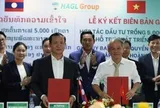Chính quyền tỉnh Champasak và Bầu Đức ký thỏa thuận phát triển 5.000 ha cà phê, nhắm mục tiêu vùng trồng lớn nhất thế giới