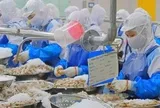 Khuyến cáo với doanh nghiệp xuất khẩu sang Mỹ