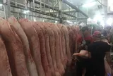 Giá heo hơi hôm nay, 15-5: Các vùng miền đều giảm