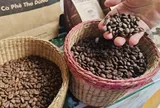 Giá cà phê hôm nay 16-5: Đồng loạt giảm mạnh, mất thêm mốc quan trọng