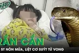 Rắn cắn khi đang ngủ, bé gái 5 tuổi nôn mửa, liệt cơ suýt tử vong