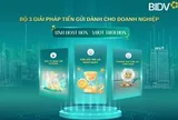 BIDV cung cấp giải pháp tiền gửi vượt trội cho doanh nghiệp