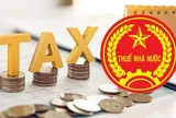 Từ 1/7, doanh nghiệp nợ thuế, không hoạt động tại địa chỉ kinh doanh sẽ bị cơ quan thuế cưỡng chế phá sản