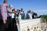 Một mô hình độc lạ “Made by Vietnam” xuất hiện trên cánh đồng lúa ở Cuba