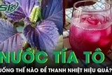 Uống nước tía tô mùa nắng nóng thế nào để thanh nhiệt hiệu quả