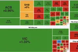 VN-Index đảo chiều tăng hơn 12 điểm sau chuỗi 7 phiên giảm