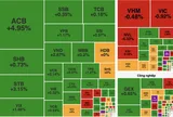 Cổ phiếu công nghệ và ngân hàng nâng đỡ, VN-Index vẫn lỡ hẹn mốc 1.800 điểm