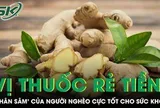 Vị thuốc rẻ tiền được ví như 'nhân sâm' của người nghèo cực tốt cho sức khỏe