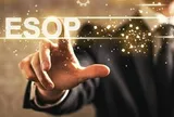 REE muốn phát hành ESOP