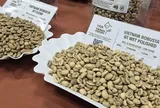 Giá cà phê hôm nay 13-6: Bùng nổ phiên thứ hai liên tiếp