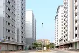 Nhà ở cho thuê sẽ “cất cánh” trong những năm tới?