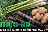 Sự thật phía sau ly nước mía sả gừng được đồn thổi có thể “gọi máu về”