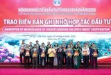 Taseco mở rộng sang năng lượng tái tạo, nghiên cứu đầu tư dự án điện mặt trời 22.000 tỷ tại Lai Châu