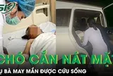 Xuyên đêm chở vaccine gần 100km cứu cụ bà 79 tuổi bị chó cắn nát mặt