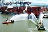TP.HCM bàn giao hơn 102ha đất và khu vực biển cho liên danh Geleximco xây 'siêu' cảng Cái Mép Hạ