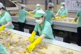 'Chiếc áo mới' của EPR