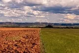 WMO nâng dự báo: Sẽ có El Nino cường độ mạnh, cảnh báo nhiệt độ toàn cầu tăng cao