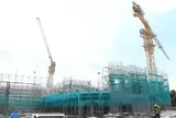 Đề xuất 189 trường hợp tái định cư tại Thư Lâm phục vụ dự án Nhà hát Ngọc trai và Công viên chuyên đề