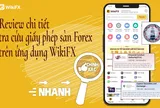 Review chi tiết tra cứu giấy phép sàn Forex trên ứng dụng WikiFX