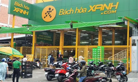 Bách Hóa Xanh tăng tốc: Số lượng cửa hàng mở trong tháng 8 gấp 5 lần của 6 tháng đầu năm, SSI chỉ ra "bí mật" để giảm chi phí vận hành