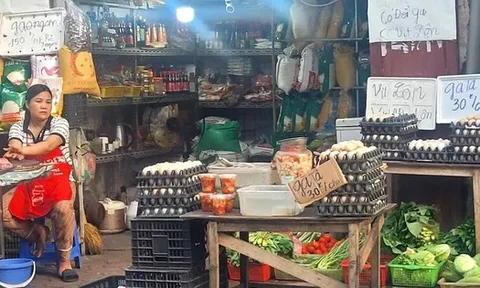 Lý do giá trứng gà bất ngờ tăng mạnh