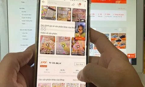 1.500 vụ lừa đảo trực tuyến gây thiệt hại 1.660 tỉ đồng