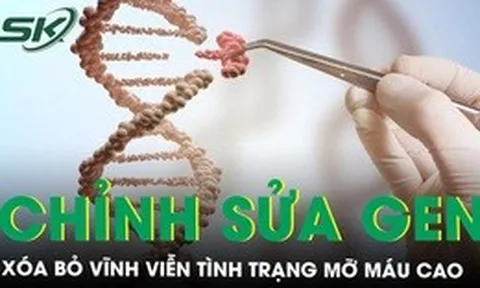 Đột phá mới công nghệ chỉnh sửa gen mở ra hy vọng xóa bỏ vĩnh viễn tình trạng mỡ máu cao