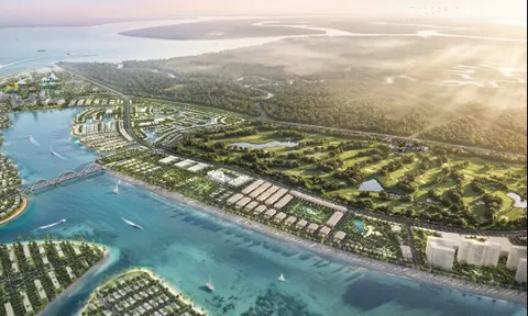 Tĩnh tại biển riêng và sức sống tâm điểm - Giao hòa hai sắc thái sống tại Vịnh Tiên