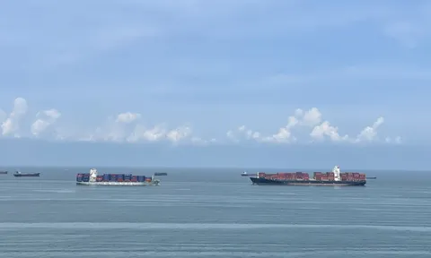 Căng thẳng Trung Đông leo thang: Các hãng tàu ra thông báo khẩn