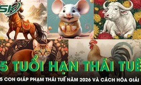 5 con giáp phạm Thái Tuế năm Bính Ngọ 2026 và cách cúng giải hạn hiệu quả