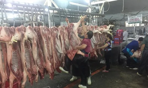 Giá heo hơi hôm nay, 10-3: Heo mảnh tại chợ đầu mối tiếp tục rớt mạnh